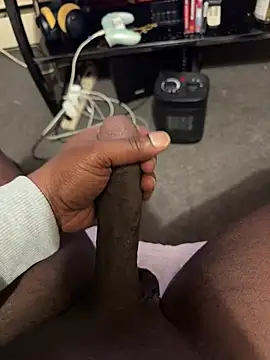 Cameltoekilla online show from February 2026 12:00:01 PM