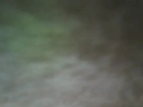 ShivamFactor3 online show from November 2025 05:48:01 PM