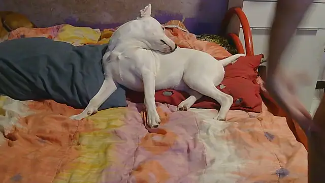 Snapshot of couplemilf2 chatting on December 2024 11:25:01 PM couplemilf2 online show from December 2024 11:25:01 PM