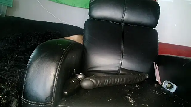 Snapshot of Gigadickman chatting on December 2024 01:49:01 PM Gigadickman online show from December 2024 01:49:01 PM