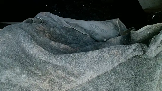 Snapshot of Gigadickman chatting on March 2025 05:12:01 AM Gigadickman online show from March 2025 05:12:01 AM