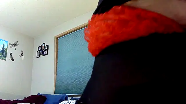 lilyhornyhousewife online show from December 2024 10:55:02 PM