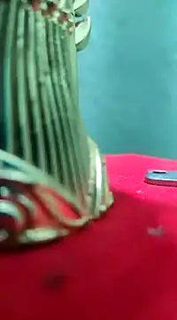 Hunter boy9 online show from January 2025 10:51:02 PM