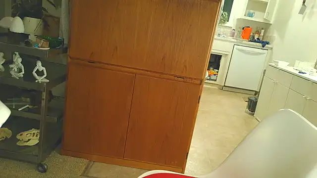 Snapshot of costanza7070 chatting on December 2025 06:54:02 AM costanza7070 online show from December 2025 06:54:02 AM