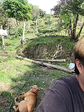 FlpGmz online show from October 2025 08:31:01 PM