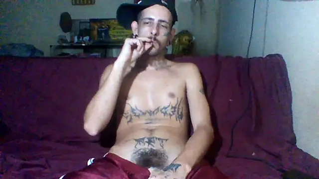 sellvageria online show from February 2026 08:38:02 PM