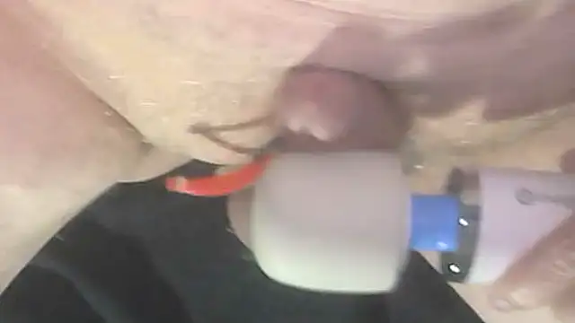 Snapshot of trittico chatting on October 2025 01:47:02 AM trittico online show from October 2025 01:47:02 AM