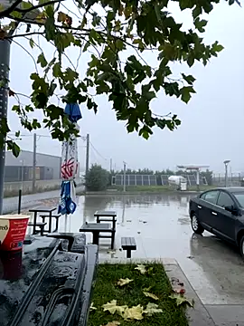 Snapshot of baramadalin chatting on November 2025 05:28:02 AM baramadalin online show from November 2025 05:28:02 AM