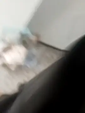 Snapshot of Ricardao13 chatting on November 2025 12:38:02 PM Ricardao13 online show from November 2025 12:38:02 PM