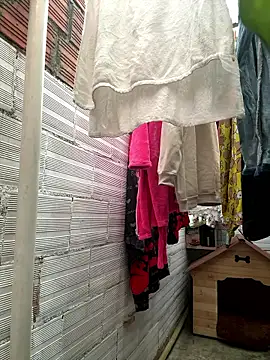 pipeynick online show from January 2026 10:13:02 PM