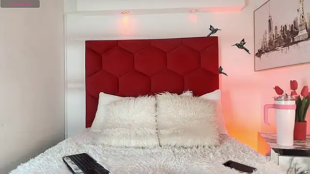 Snapshot of Steev_Novoa chatting on February 2026 04:05:02 AM Steev Novoa online show from February 2026 04:05:02 AM