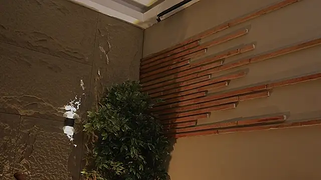 Logan Varela online show from November 2025 12:56:01 AM