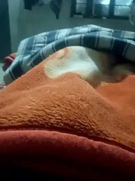 rjxraj online show from January 2026 03:17:01 PM