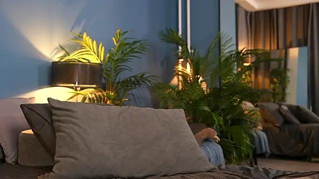  keeti  online show from November 2025 11:29:01 PM