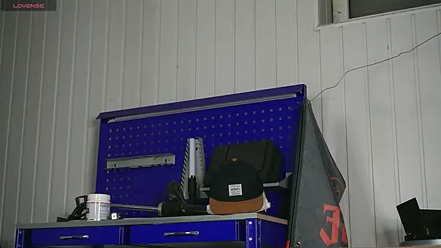 dustyn fox online show from October 2025 04:42:01 PM