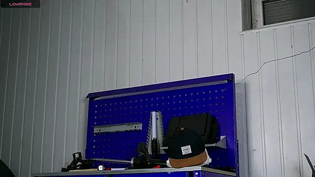 dustyn fox online show from November 2025 03:11:02 PM