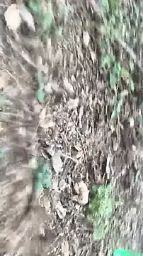 lustboyX online show from April 2026 09:39:01 AM