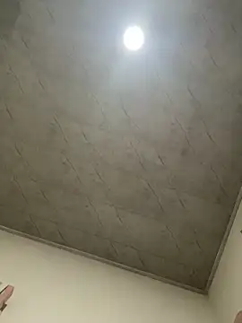 petitolivia online show from September 2025 04:24:02 AM