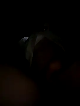 toysonly online show from December 2025 11:34:02 PM