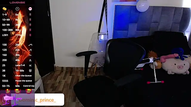 Snapshot of DominicPrince chatting on November 2025 07:02:01 PM DominicPrince online show from November 2025 07:02:01 PM