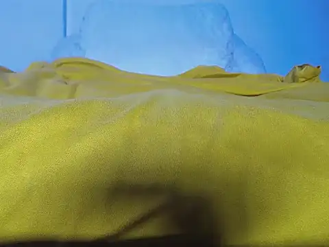 GerardSmitt online show from October 2025 03:03:02 AM