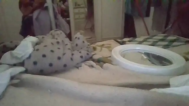 biuv online show from November 2025 11:11:01 AM