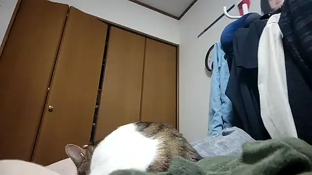 07YUKIO online show from April 2026 09:23:01 AM