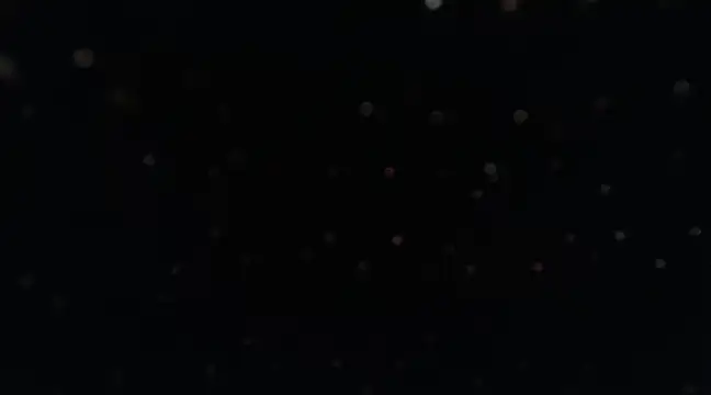 ysabel sanchez4 online show from February 2025 01:42:01 AM