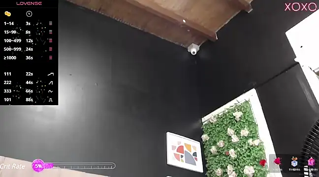 ysabel sanchez4 online show from March 2025 12:05:01 AM