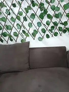 Snapshot of Bold-Cat chatting on November 2025 04:46:01 PM Bold-Cat online show from November 2025 04:46:01 PM