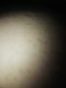 Snapshot of Gostosooooooooooso chatting on May 2026 05:10:02 PM Gostosooooooooooso online show from May 2026 05:10:02 PM