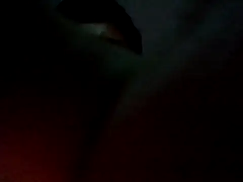 Negrito-26 online show from May 2026 03:45:02 AM