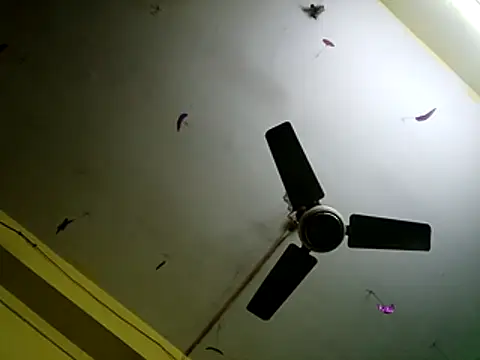 Snapshot of Sexyranibhabhi chatting on December 2025 02:17:02 AM Sexyranibhabhi online show from December 2025 02:17:02 AM