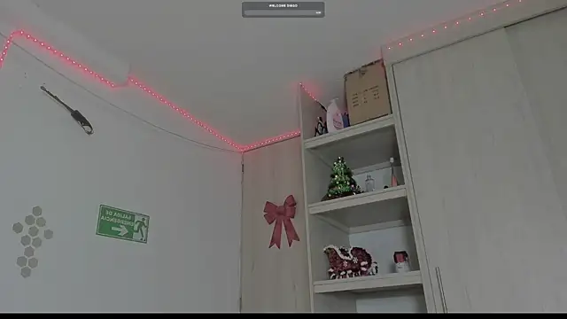  diegsz  online show from January 2025 09:55:02 AM