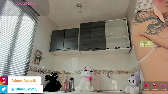 Palmer-Foster online show from September 2025 09:03:02 PM