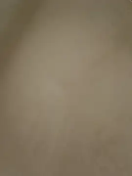 Snapshot of anabella1888 chatting on May 2026 08:14:01 PM anabella1888 online show from May 2026 08:14:01 PM