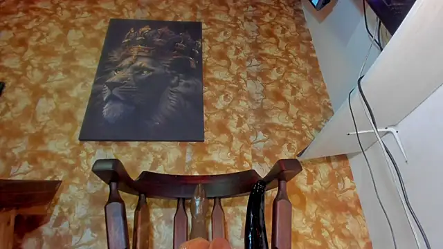 Aniilethebonny online show from February 2026 05:55:02 PM