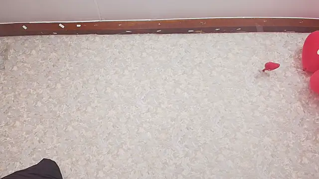 Snapshot of nicol_f chatting on February 2025 07:17:02 PM nicol f online show from February 2025 07:17:02 PM