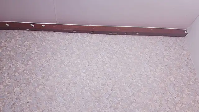 Snapshot of nicol_f chatting on March 2025 01:25:02 AM nicol f online show from March 2025 01:25:02 AM