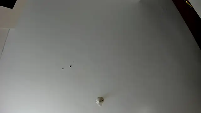 Snapshot of evely_coelloo chatting on November 2025 04:07:01 PM evely coelloo online show from November 2025 04:07:01 PM