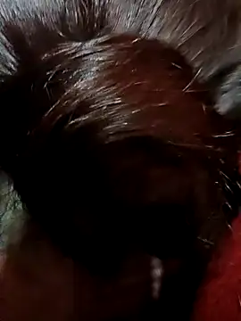 Snapshot of GF_nd_BF_ chatting on December 2024 07:19:02 PM GF nd BF  online show from December 2024 07:19:02 PM