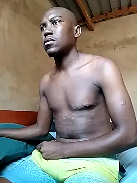 king shrek online show from March 2025 07:42:02 AM