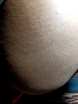 Fucker boy 1 online show from December 2024 08:38:02 PM