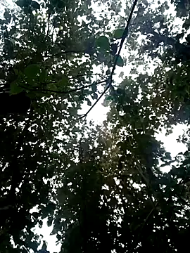 Fucker boy 1 online show from January 2025 03:50:02 AM