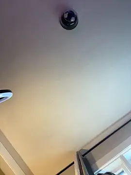 PuckBunny17 online show from December 2024 05:00:01 PM