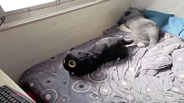 Snapshot of Big19Asia chatting on September 2025 01:18:01 AM Big19Asia online show from September 2025 01:18:01 AM