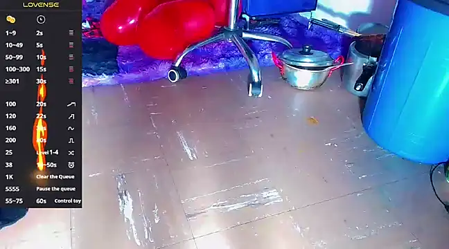 nicol gill  online show from February 2025 11:29:02 AM