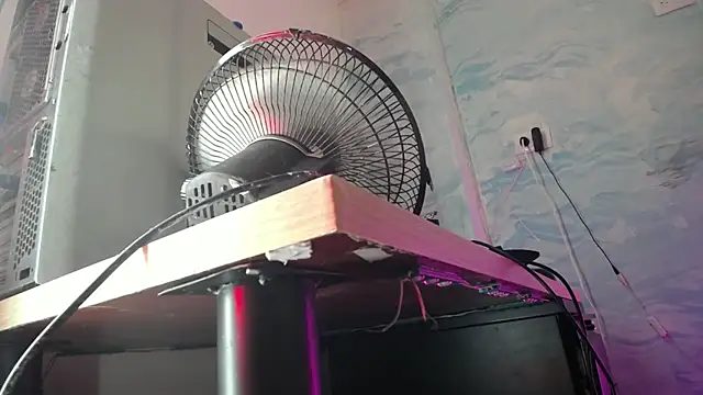 baihu jin online show from December 2024 04:54:01 PM