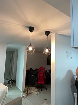 Snapshot of thomas_gun chatting on December 2025 12:41:01 AM thomas gun online show from December 2025 12:41:01 AM