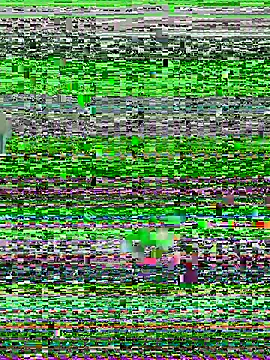 YawlingJingoist online show from March 2026 11:20:02 PM